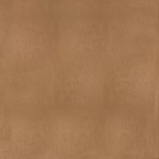 Lt Brown Plain Leather main texture preview