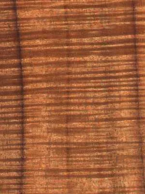 Koa Curly texture preview