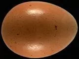 S S Brnegg main texture preview