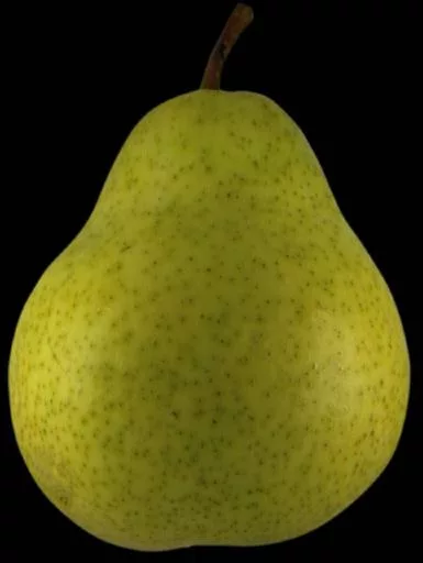 Pear main texture preview