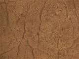 S S Hide6 main texture preview