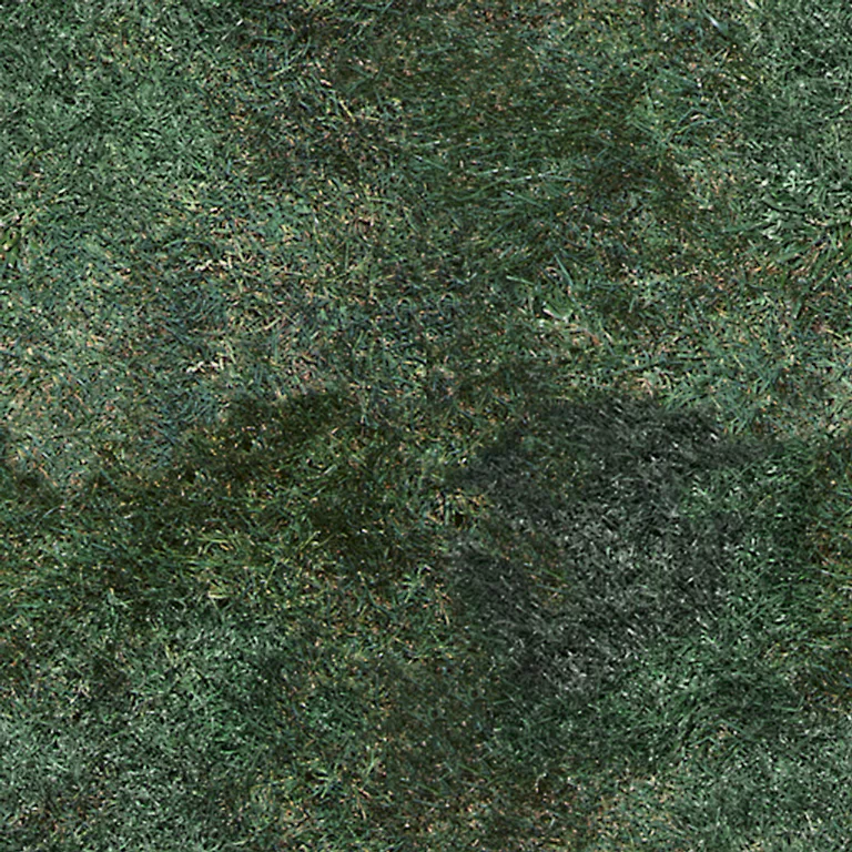 Ground Lawn Grass Pxr128 Cc By By Pixar main texture preview