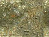 S S Green main texture preview