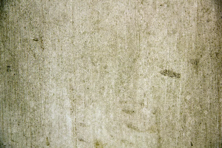55 main texture preview