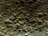 S S Rholes main texture preview