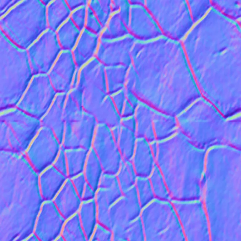 Normal Map for Turtle 1