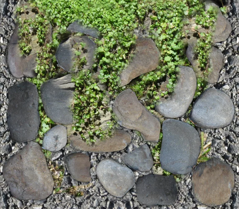 Cottage Rock Foundation With Ivy main texture preview