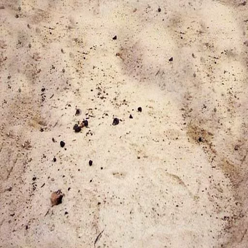 Sand 044 main texture preview