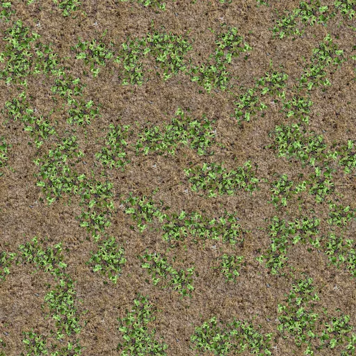 Forest Floor 2 main texture preview