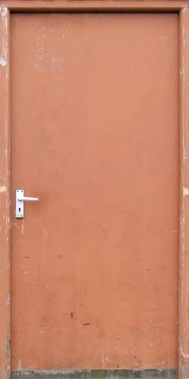 Door Wood Tan main texture preview