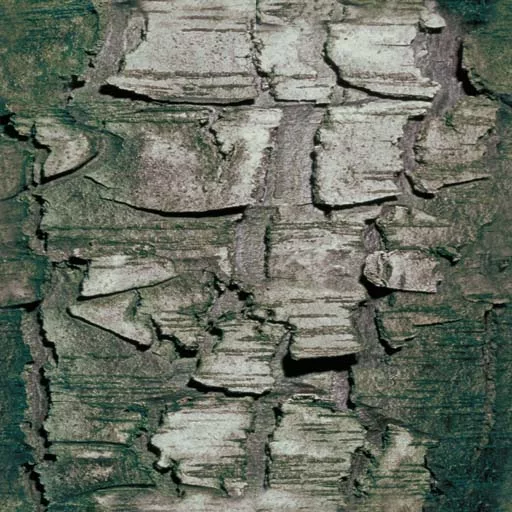Bark058 main texture preview