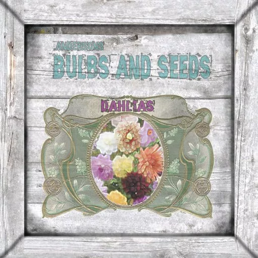Bt Shabbychic Crate Dahlias main texture preview