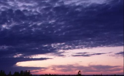 Dusk2 main texture preview