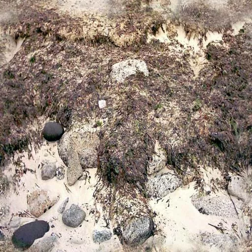 Sand 012 main texture preview