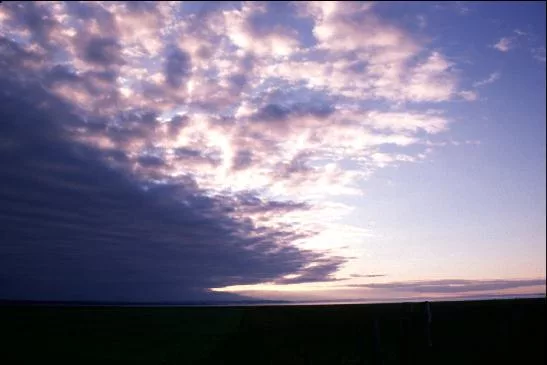 Dawn1 main texture preview