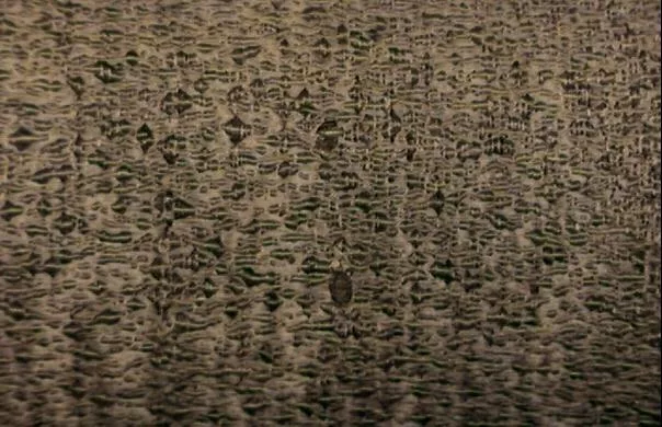 Blochy main texture preview
