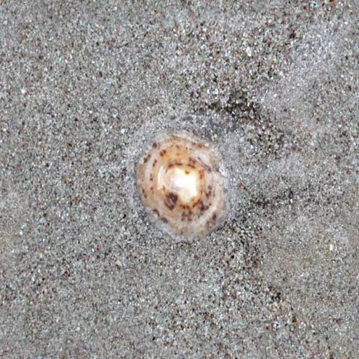 Sand 080 main texture preview