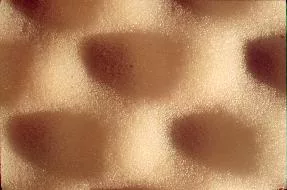 Sponge main texture preview