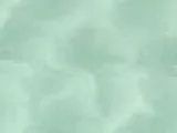 S S Litegree main texture preview