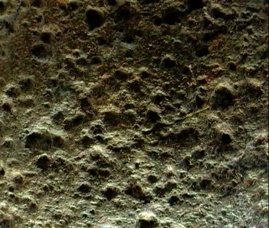 Rholes main texture preview