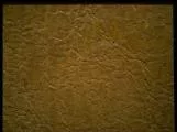 S S Elephant Skin main texture preview