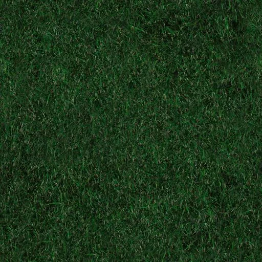 Herbe 2 main texture preview
