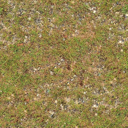 Grass With Rocks Low main texture preview