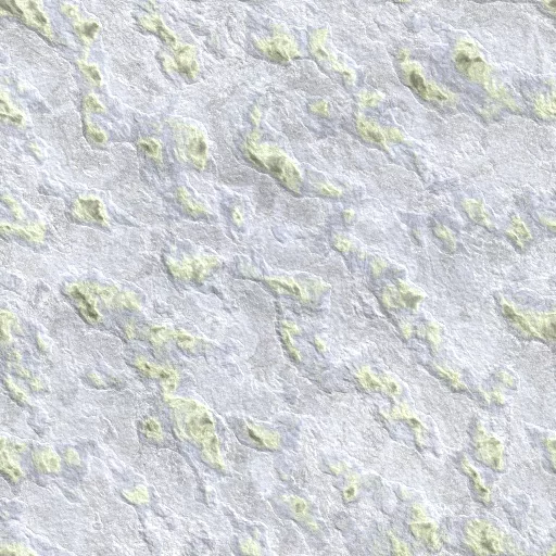 Canadian Arctic main texture preview