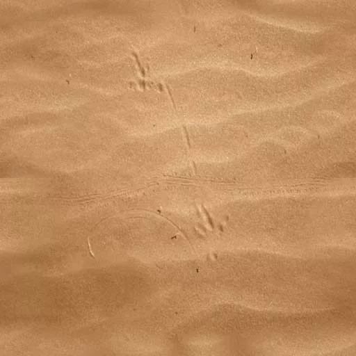 Sand 027 main texture preview
