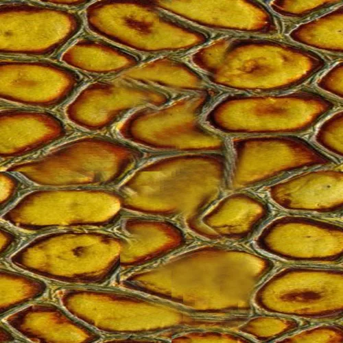 Croc Yellow main texture preview