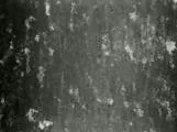 S S Dirt1 main texture preview
