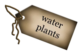 Tag Water Plants main texture preview