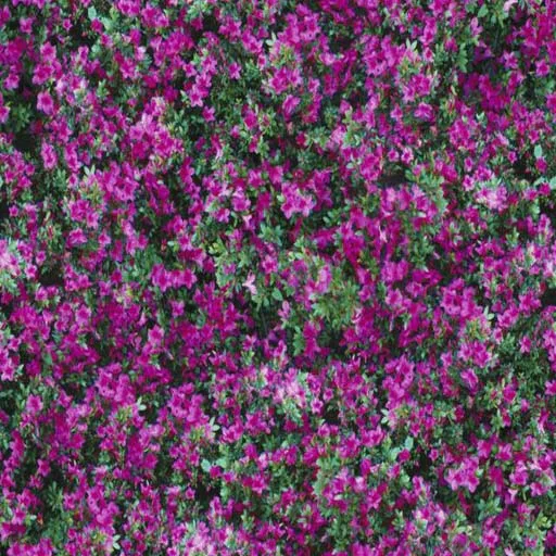 Nature088 main texture preview
