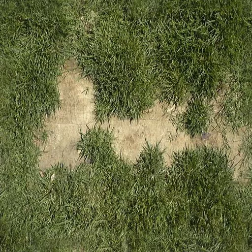 Nature073 main texture preview