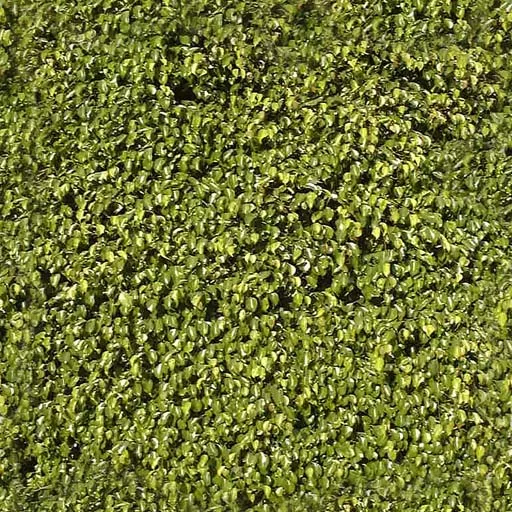 Nature074 main texture preview