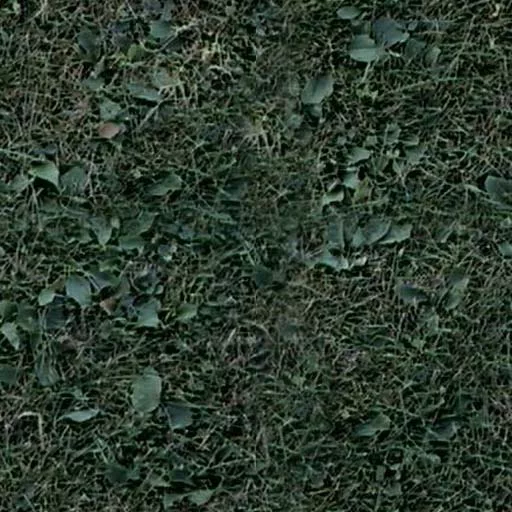 Nature081 main texture preview