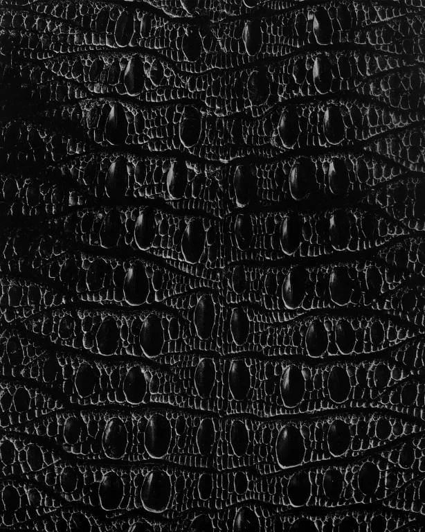 D10 Crocodile Skin main texture preview