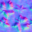 Normal Map for Crotons On Dirt