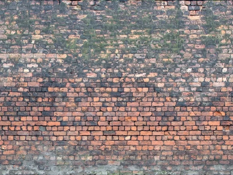 Brick Wall Old Mossy main texture preview