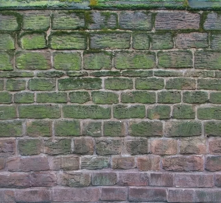 Wall Stone Mossy main texture preview