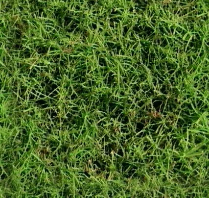 Grassy T main texture preview