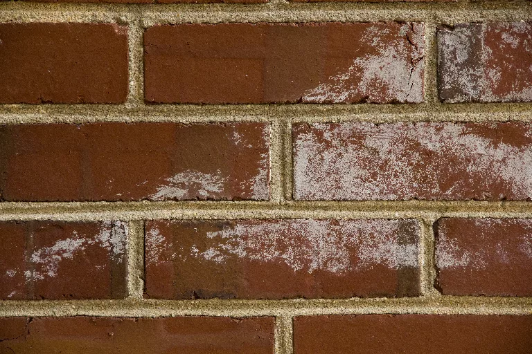 24 main texture preview