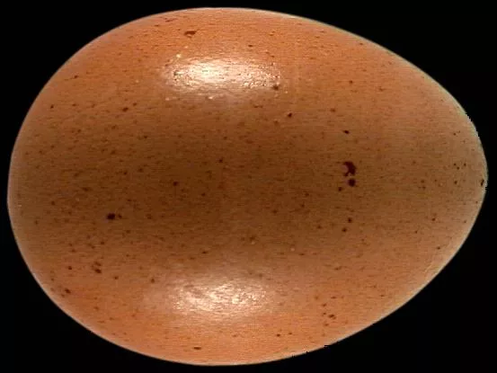 Brnegg main texture preview