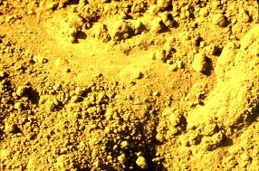 Sand main texture preview