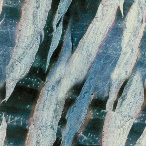 Bark056 main texture preview