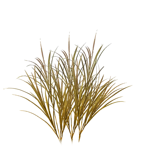 3Td Africa Grass01 texture preview