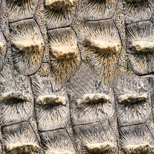 Croc Bumpy main texture preview
