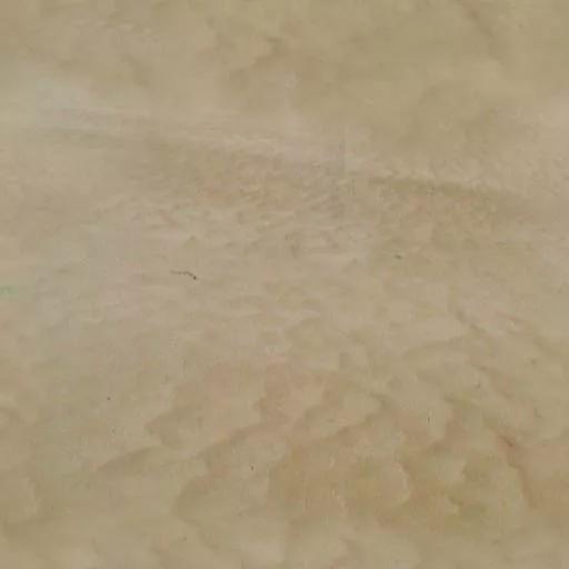 Sand 013 main texture preview