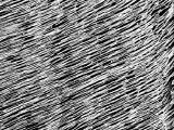 S S Hairbmp2 main texture preview