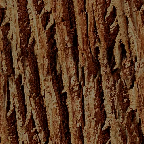 Tree Texture main texture preview